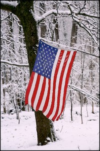 American Flag In Snowstorm