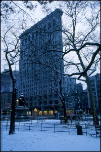 Flatiron Building & Madison Sq. Park - New York NY