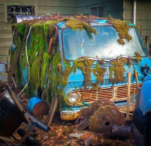 Dilapidated van is overgrown by moss.