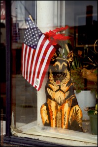 JP1206 Flag In Shop Window - Chicago IL