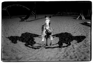 Russ Widstrand "Night Horse" 9/08/16