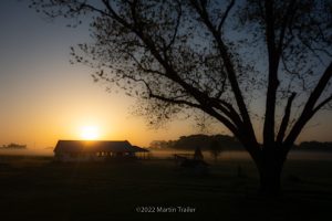 farm at dawn with ground fog