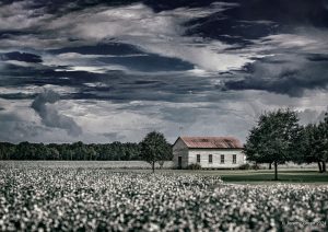 church in a field