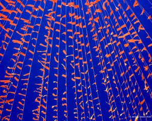 Orange streamers in blue sky