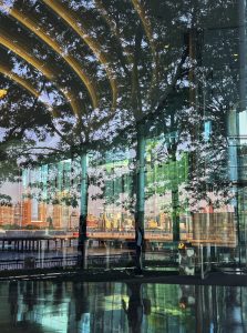 Jersey Reflections
