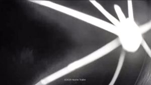 spider on a surveillance camera