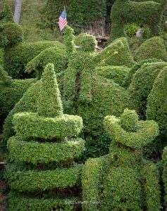 topiary hedge
