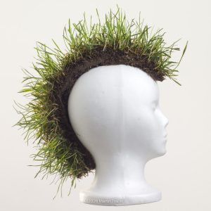 styrohead with grass mohawk