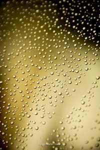 beads of water on a waxed surface