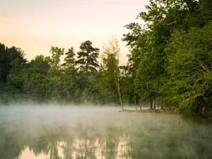 mist hanging over water surrounds with trees