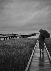 Lonely Rain